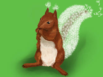 Pustehoernchen blowballsquirrel