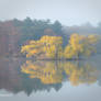 Autumn island light fog