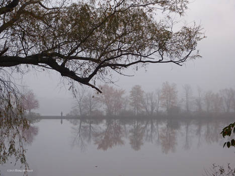 One misty morning