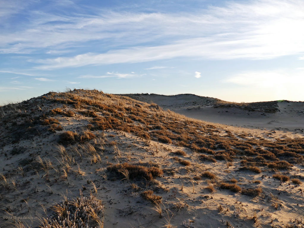 Winter dunes