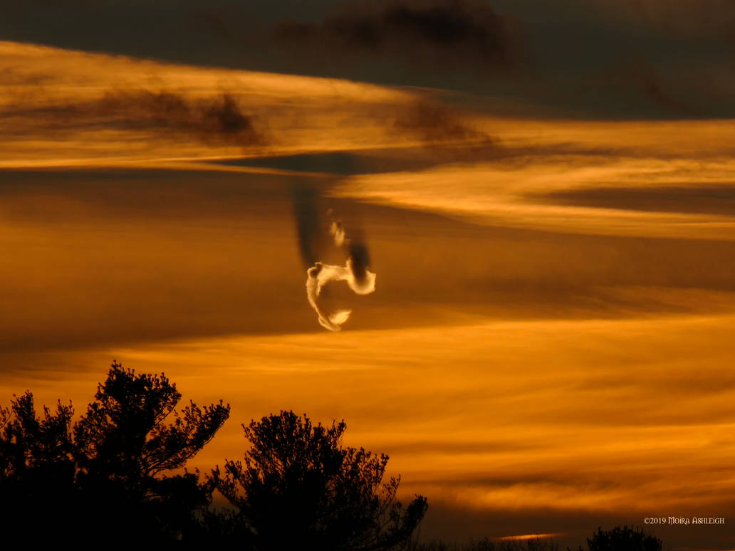 Sky Dragon by Mogrianne