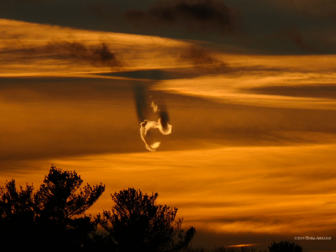 Sky Dragon by Mogrianne