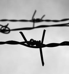 barbed wire