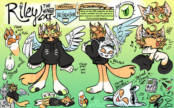 Riley the Enby Winged Cat Reference Sheet (Comm)