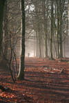 Autum Walk by onepoint618