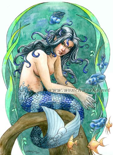 Ciclid Mermaid