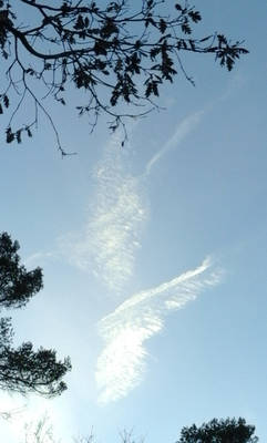 Quand les anges jouent dans le ciel...