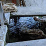 Lavage de la toile de jute