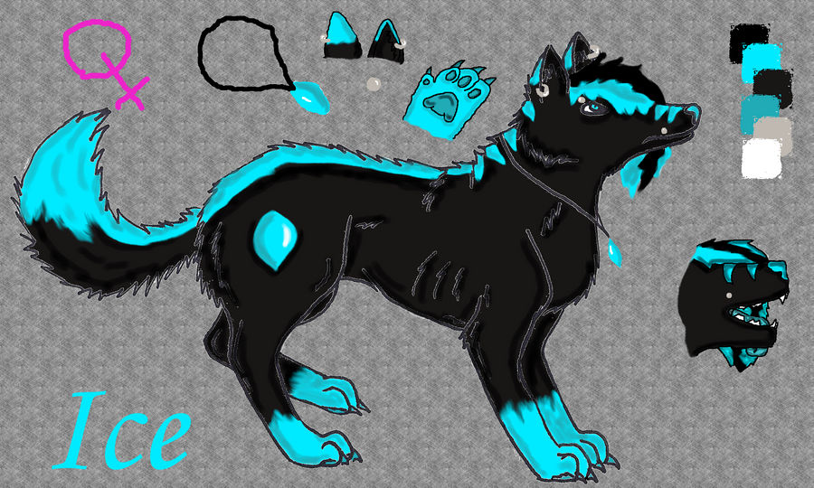 Ice Reference Sheet-old- by ravensongrocks on DeviantArt