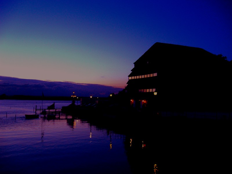 Evening silhouettes