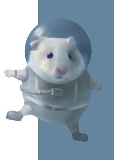 hamster is an astronaut