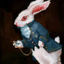 White rabbit