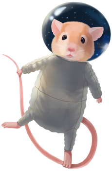 Mouse Astronaut