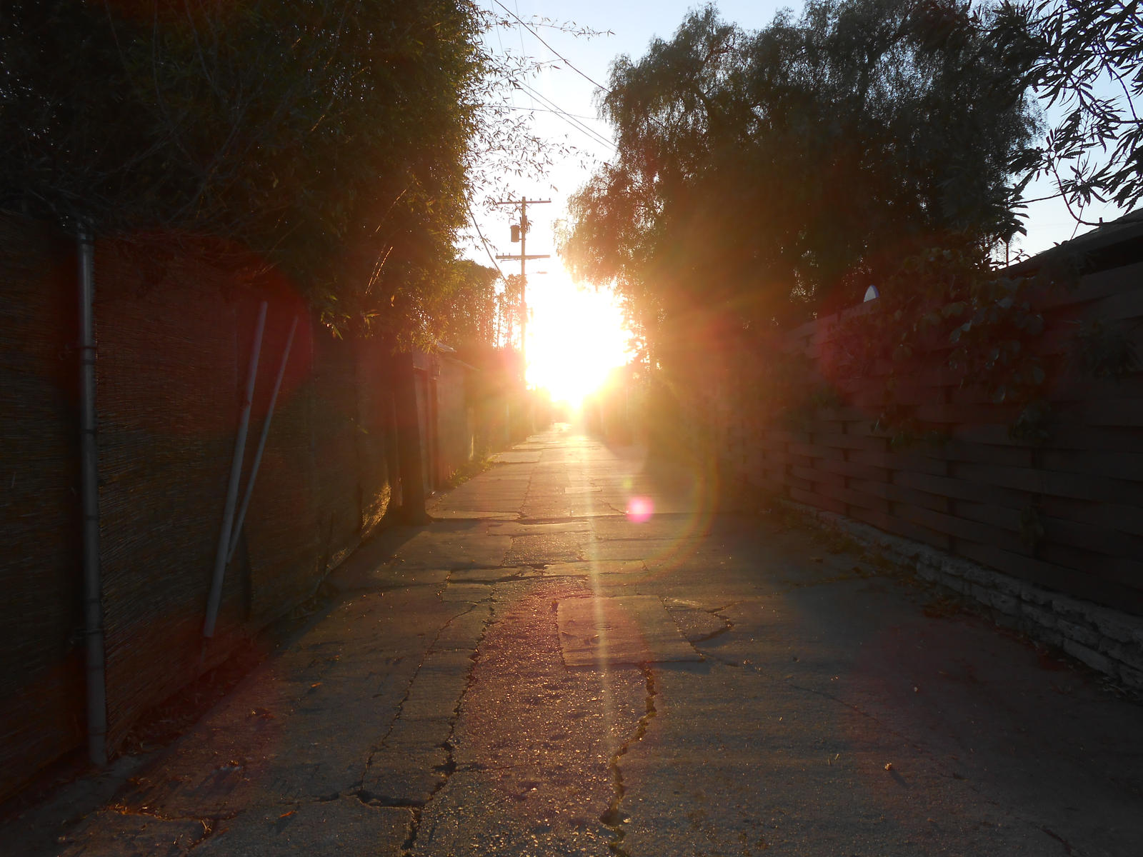 Alley Sunshine