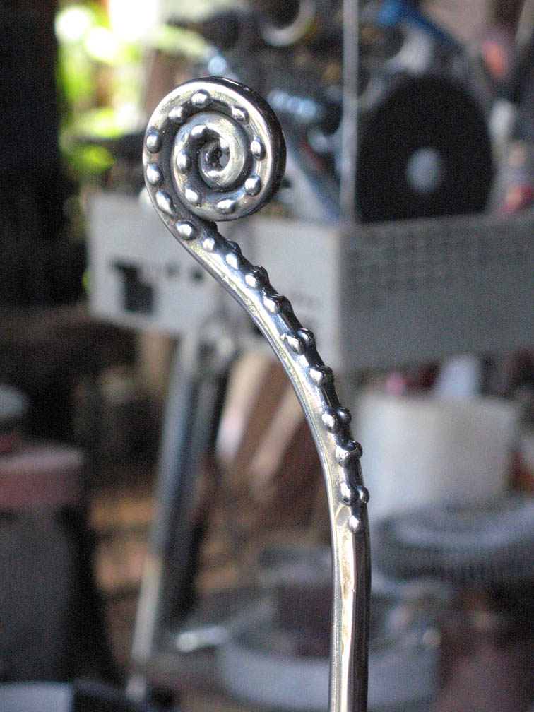 Fiddlehead Fern