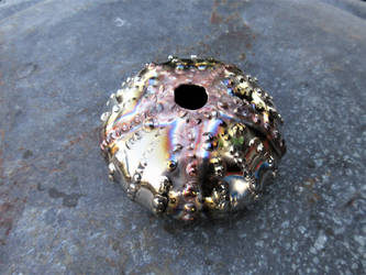 Sea Urchin stem vase by ou8nrtist2