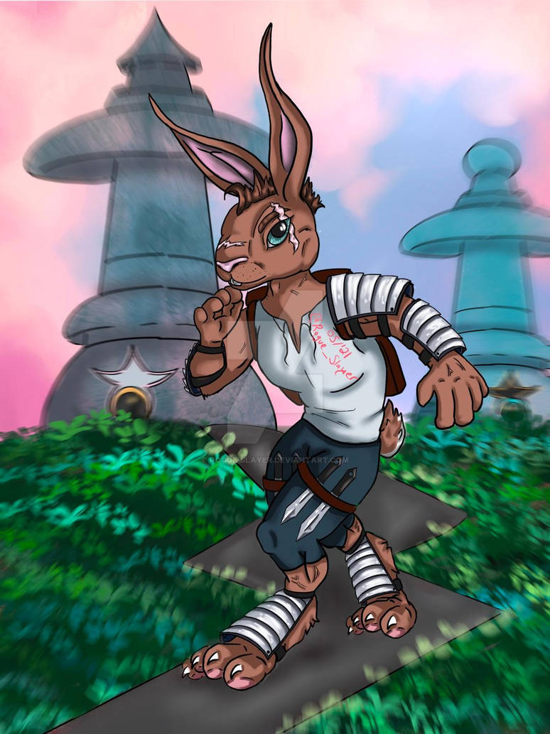 Rogue Rabbit by Rogue-Slayer on DeviantArt