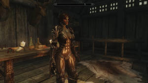 Skyrim - my character