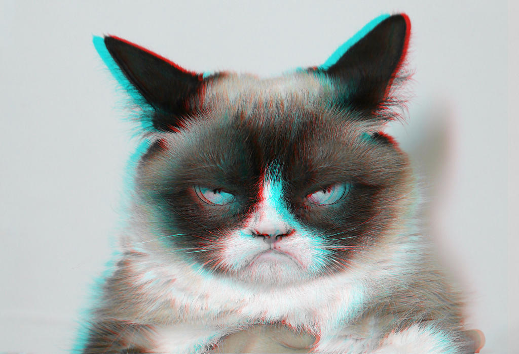 3D Grumpy Cat by Durvain on DeviantArt