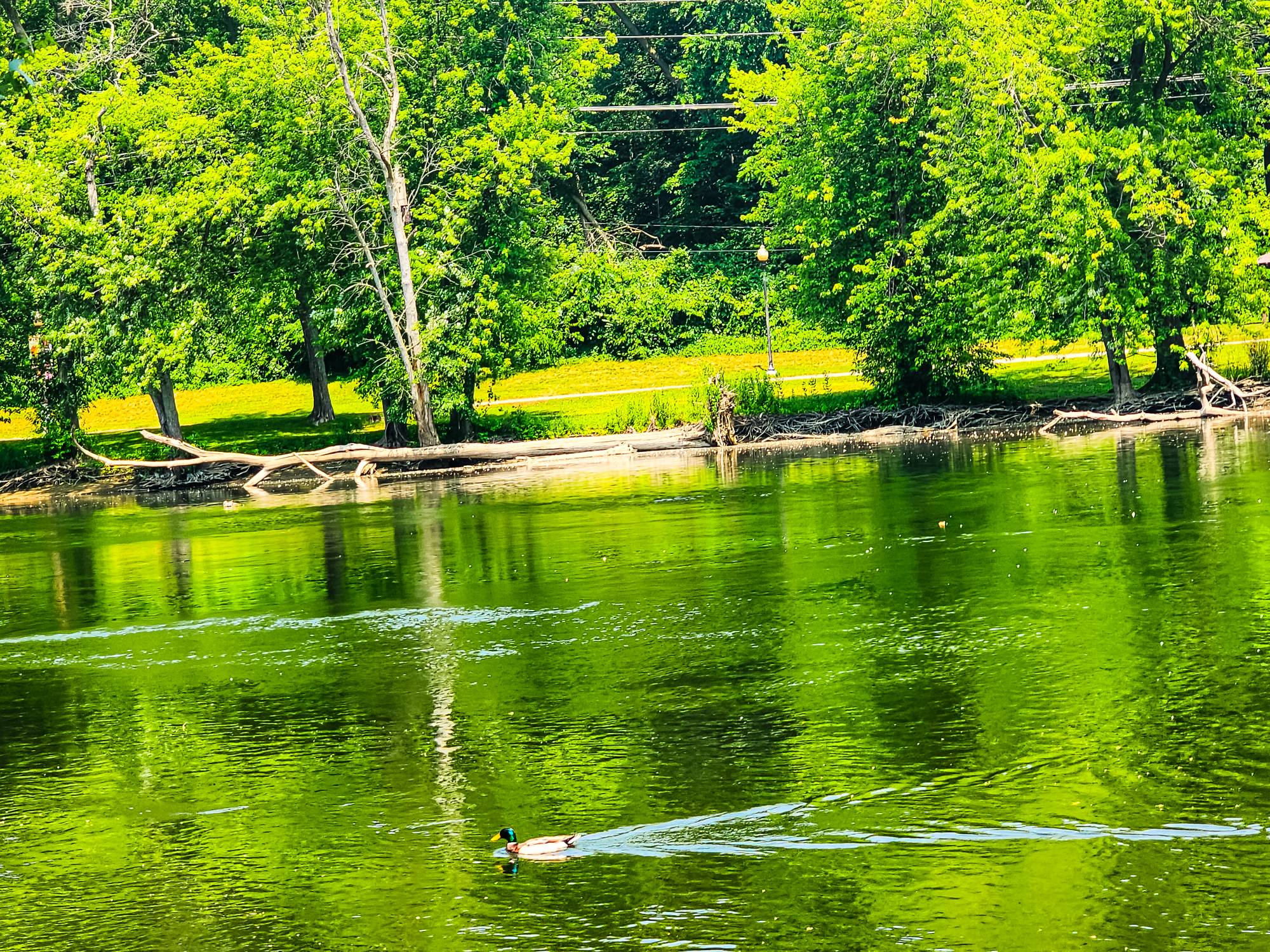 Riverside by DreadHeadLion82 on DeviantArt