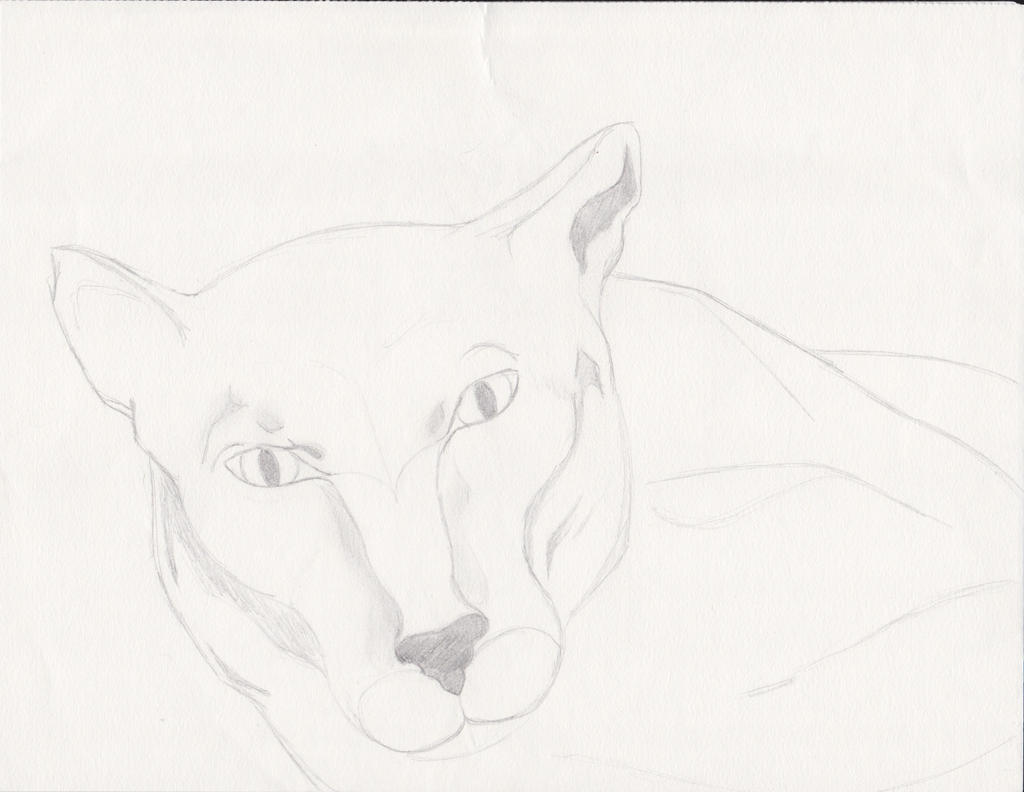 Mountain Lion - WIP