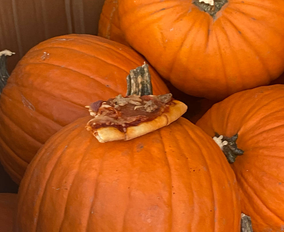 Pizza Pumpkin By MysteryPony18 On DeviantArt pizza-pumpkin-by-mysterypony18-on-deviantart