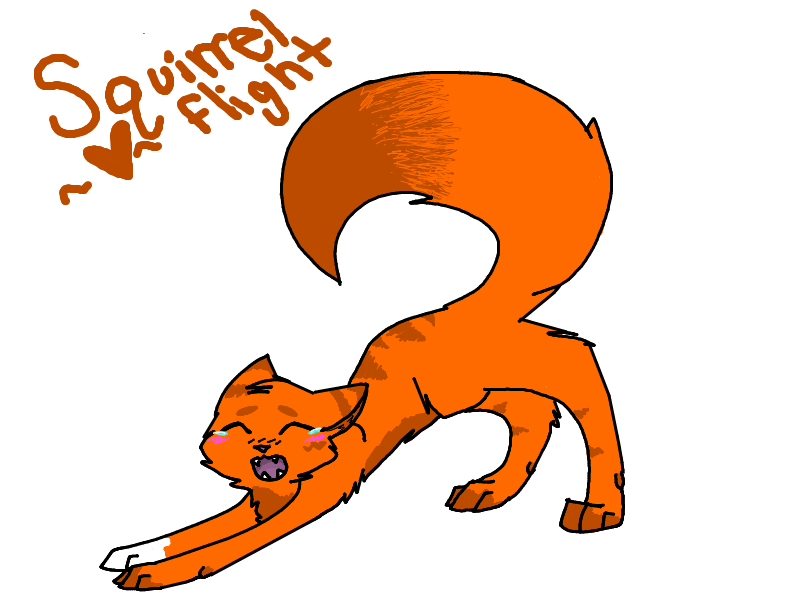 -x- Squirrelflight -x-