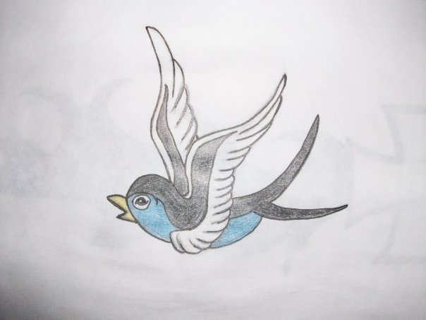 Blue bird tattoo concept