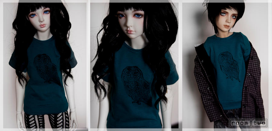 Owl t-shirt (SD)