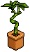 Habbo: Lucky Bamboo