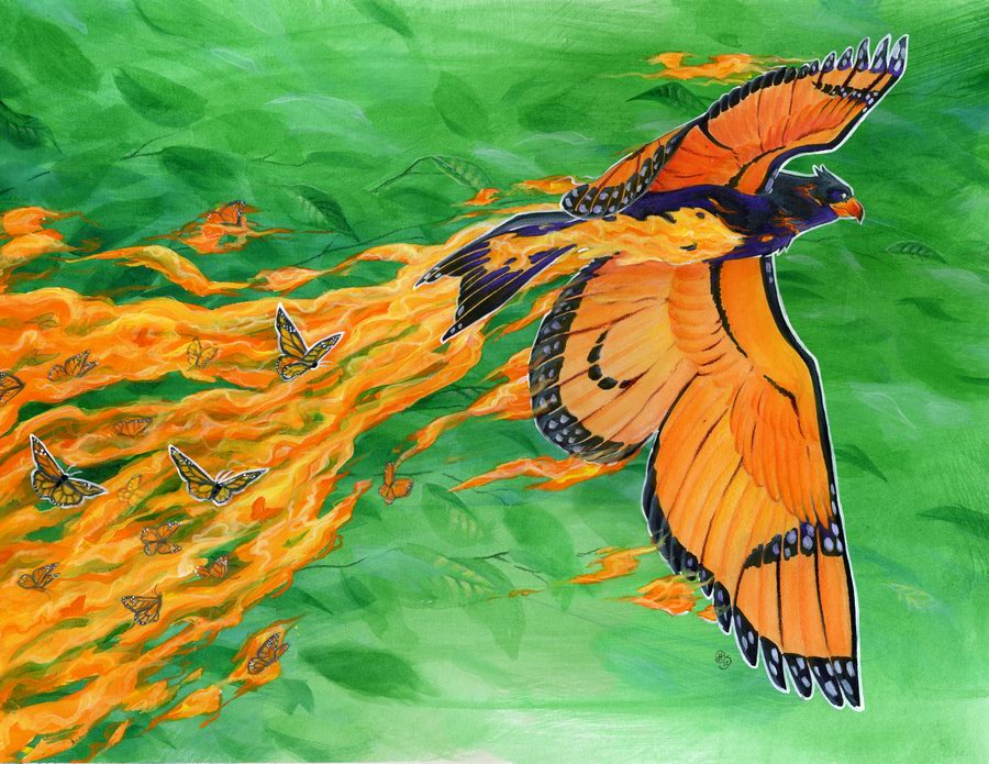 Monarch Phoenix