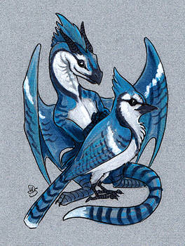 Blue Jay Dragon