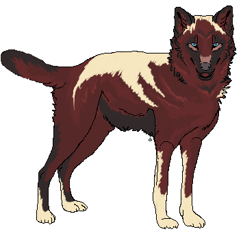 Copa Design by Completeperfection on DeviantArt