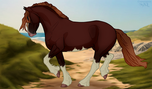 Soltero | Stallion | Divine-Isles