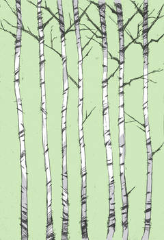 birches