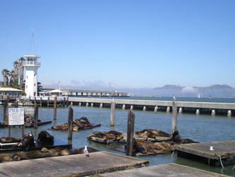 San Francisco - Pier 39