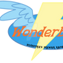 Wonderbolt Logo Patch