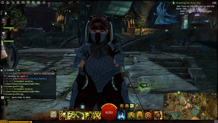 My Guild Wars 2 Character