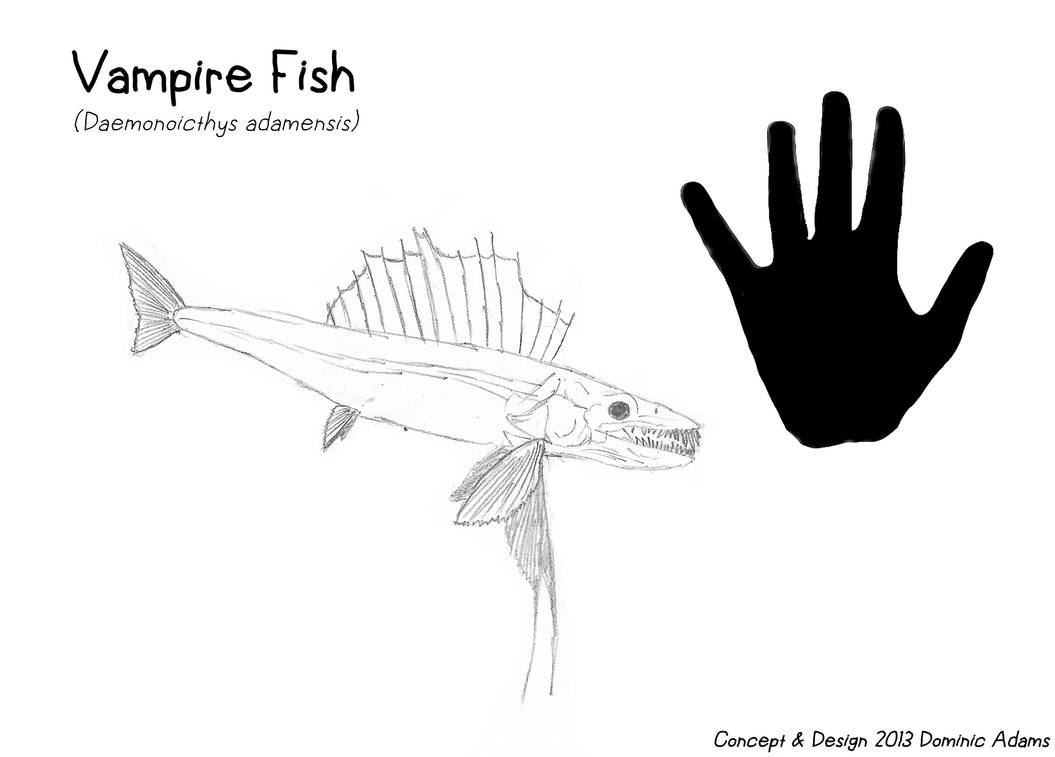 Vampire Fish Coloring In Creature Concept - Vampire fish by Creature-Studios on DeviantArt