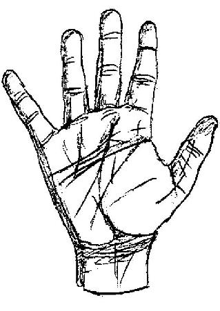 Hand by Creature-Studios on DeviantArt