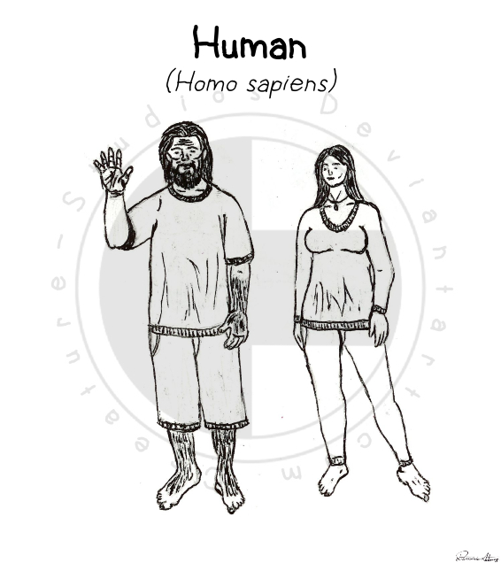 Human by Creature-Studios on DeviantArt