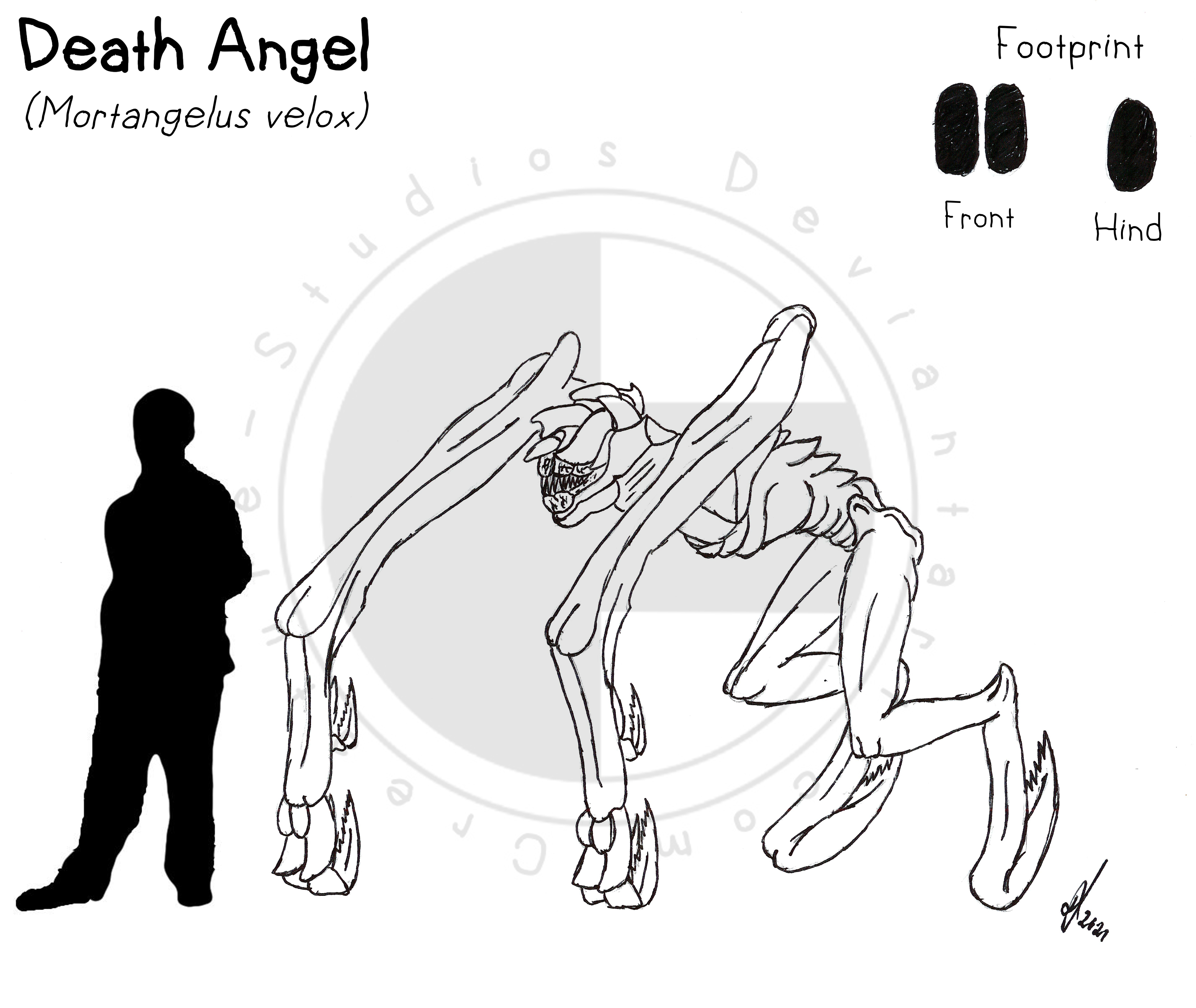 Death Angel by Creature-Studios on DeviantArt