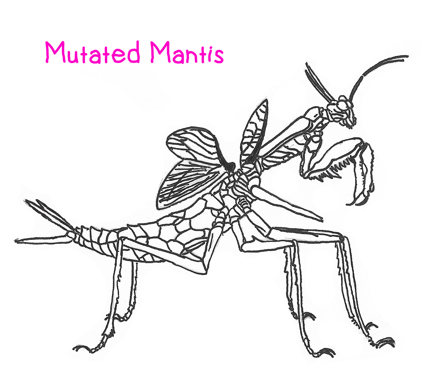 Movie Monsters - Mutated Mantis by Creature-Studios on DeviantArt