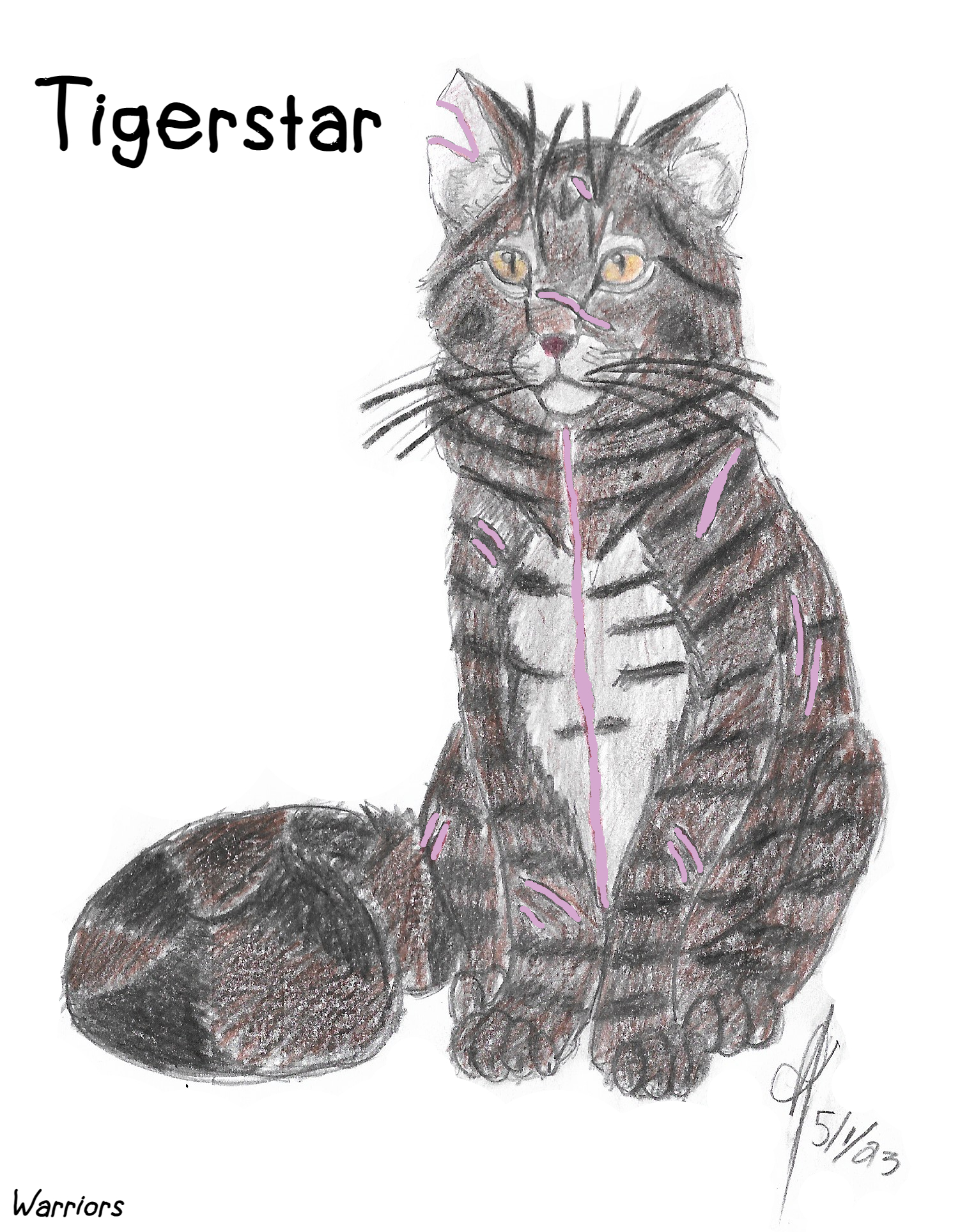 Warriors: Tigerstar/Tigerclaw by Marshcold on DeviantArt