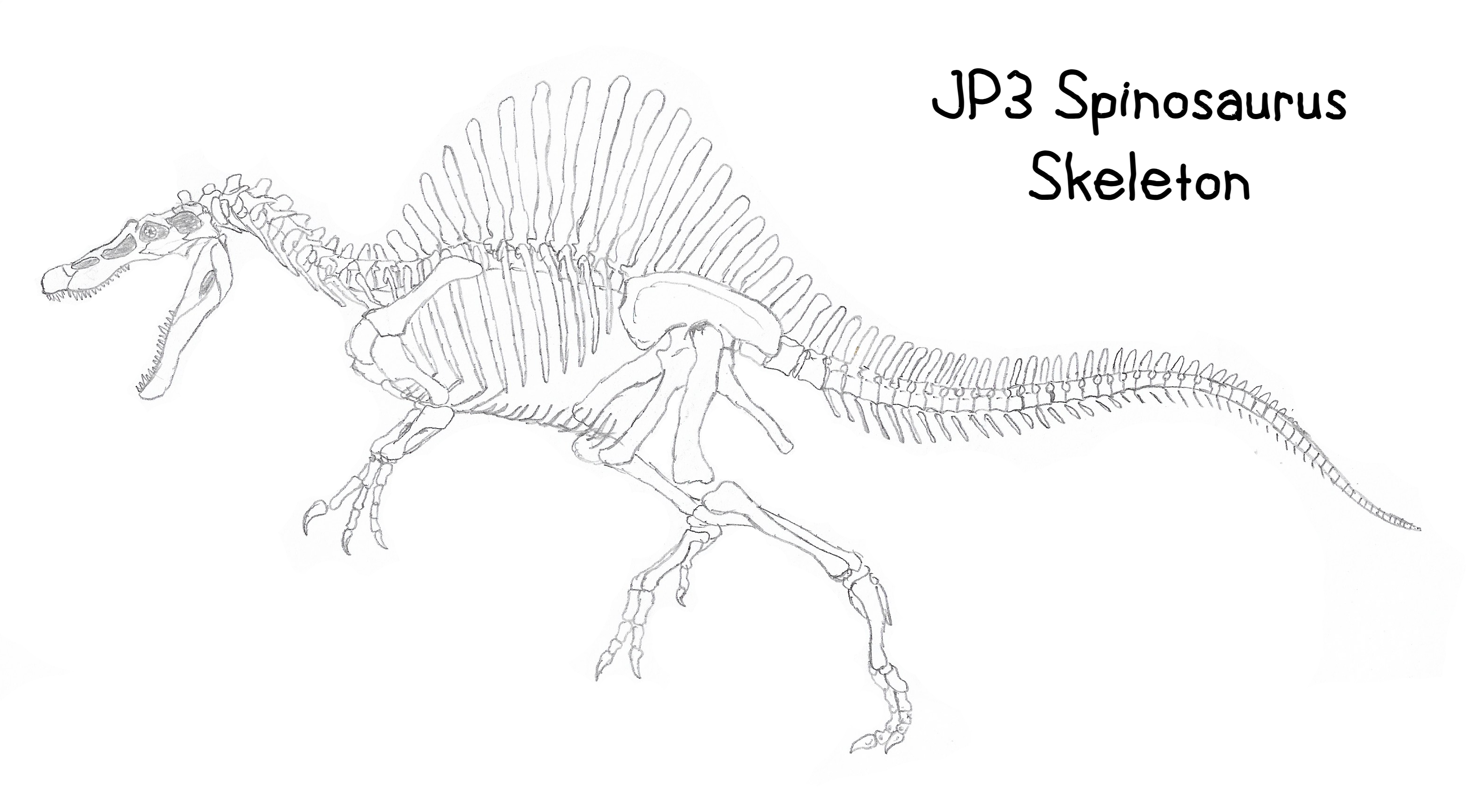 JP3 Spinosaurus Skeleton By Creature Studios On DeviantArt jp3-spinosaurus-skeleton-by-creature-studios-on-deviantart