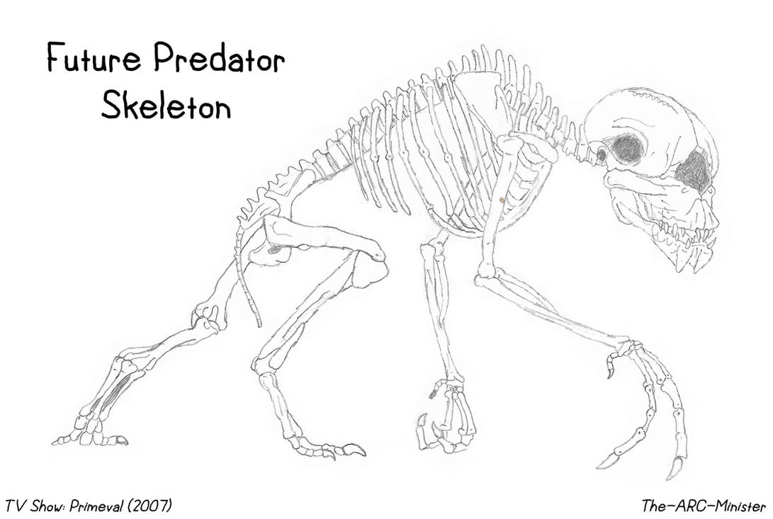 Future Predator Skeleton by Creature-Studios on DeviantArt