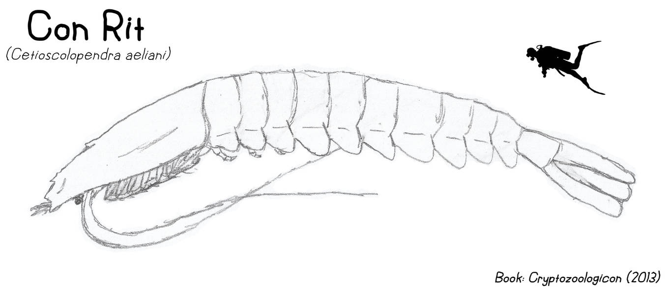 Cryptofauna - Con Rit by Creature-Studios on DeviantArt