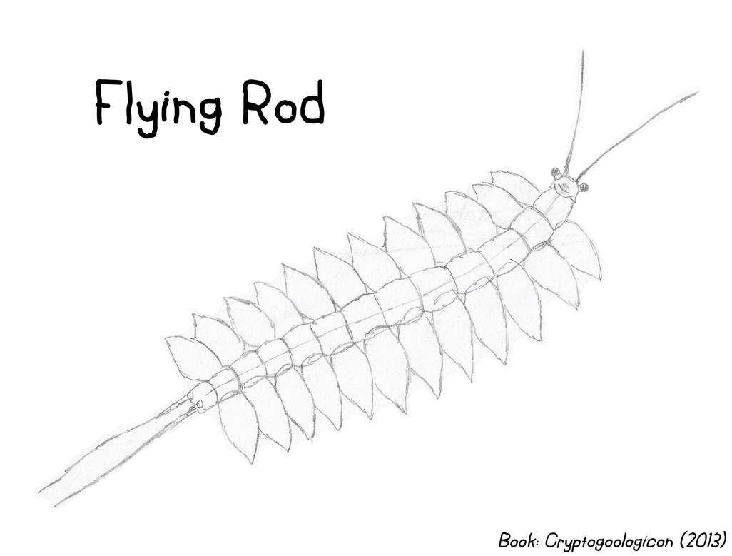 Cryptofauna - Flying Rod by Creature-Studios on DeviantArt