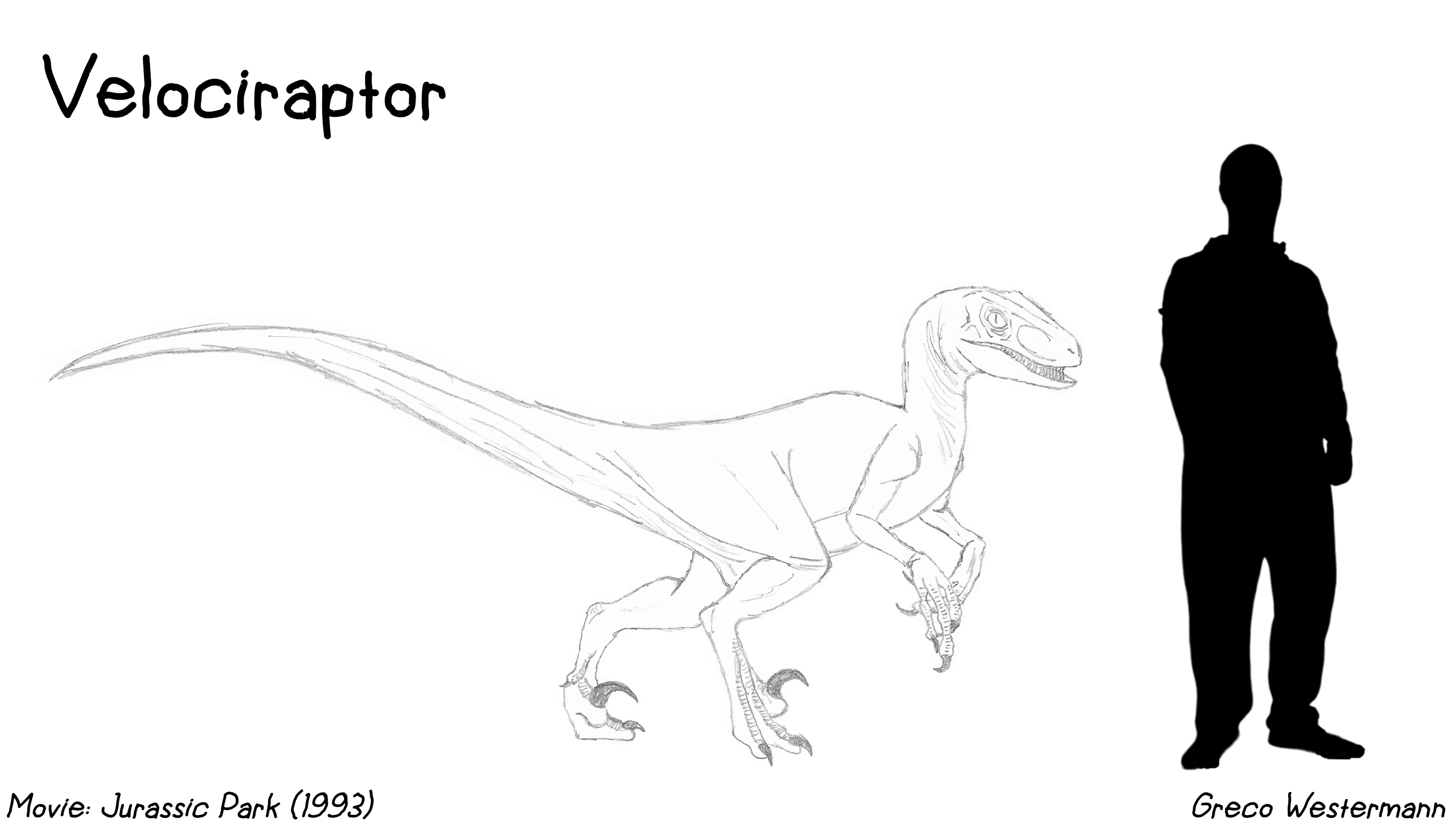 Jp Raptor Size Movie Monsters - JP Velociraptor by Creature-Studios on DeviantArt