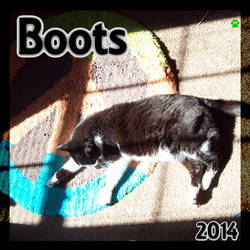 Boots2014